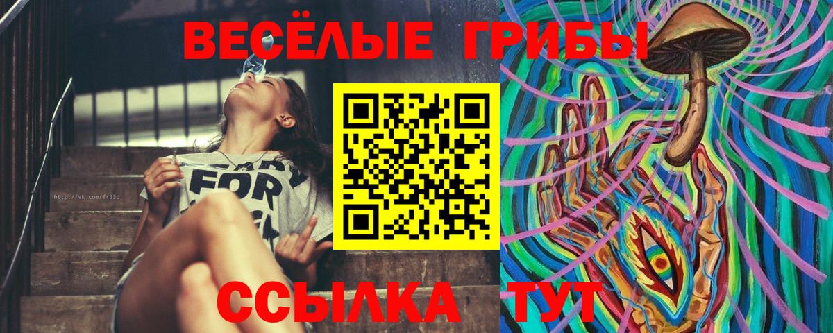 хочу наркоту  Вход с VPN  Галлюциногенные грибы прущие грибы  Прохладный  Псилоцибиновые грибы прущие грибы 