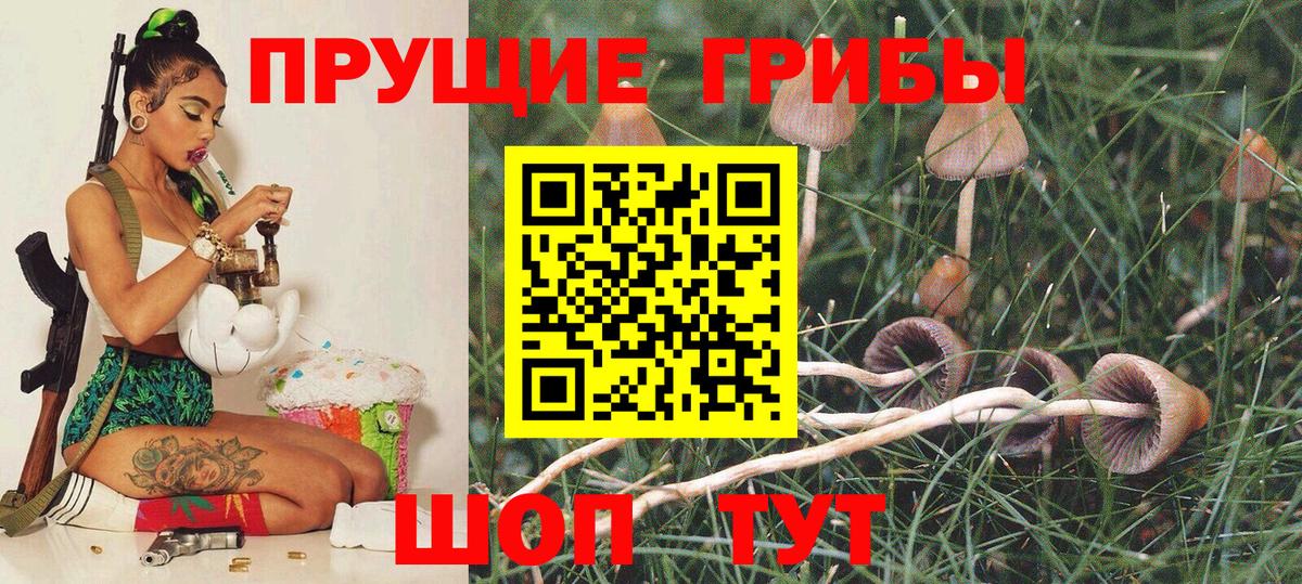 Галлюциногенные грибы прущие грибы Прохладный